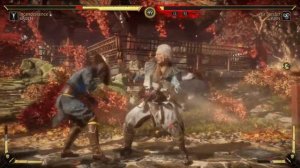 Mortal Kombat 11 raiden friendship