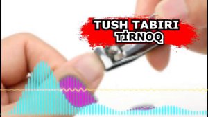 тушда тирнок курса - TUSHDA TIRNOQ - tushda timsoh - tushda Tipratikan, kirpi ko'rish