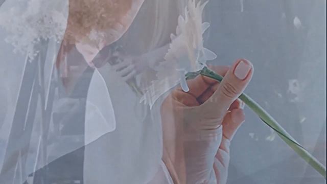 Герберы/Блокнот Птицелова_Сад Камней//проза_книги