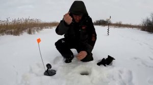 ВЗОРВАЛИ ЛУЖУ ЖЕРЛИЦАМИ! ЖЕРЛИЦЫ стреляют ОДНА за ОДНОЙ! И тут СЕТИ БРАКОНЬЕРОВ... Щука на жерлицы.