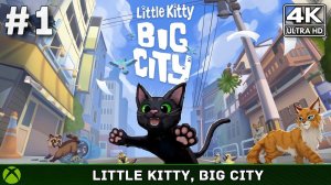 Little Kitty, Big City #1