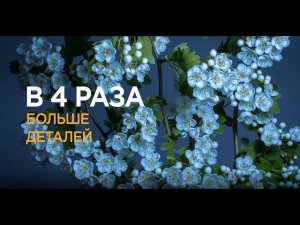 Преимущества Ultra HD TV. «СевСтар»