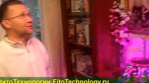 ✅ Фитосветильник для растений Дназ