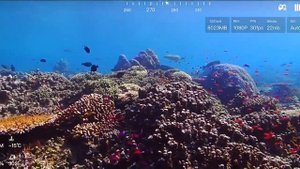 Обзор подводного дрона Chasing Gladius Mini S Yellow (200/100m)