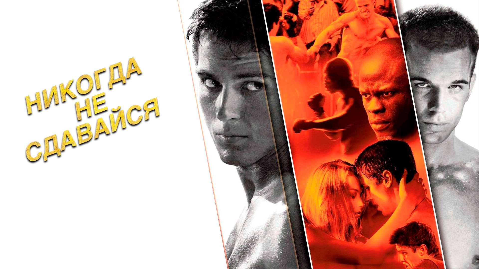 Никогда не сдавайся | Never Back Down (2008)