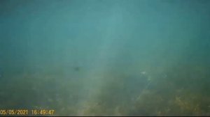 Подводная охота, Азовское море, 5 мая 2021 г.