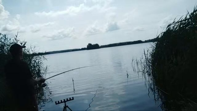 Рыболовные Приключения. Рыбалка на Живца с Поплавком. Стрим. смотреть онлайн