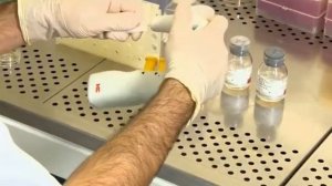 Наука 2 0  Экстракорпоральное оплодотворение