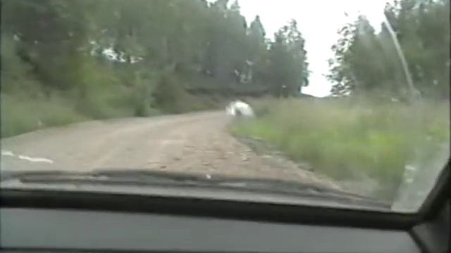 Клады и поиск Сибирских сокровищь 11 часть