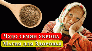 У бабушки в 82 года сосуды лучше, чем в 35 ! В день всего 2 чайные ложки ! СЕМЕНА УКРОПА #укроп