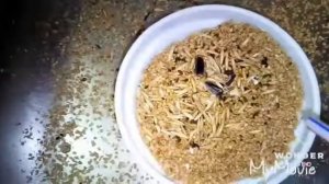 Как убрать шелуху из корма для попугаев.Повторное использование корма.