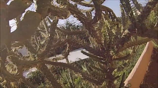 Отдых в Турции. Рассвет на море в Бельдиби. Турецкий базар) смотреть онлайн