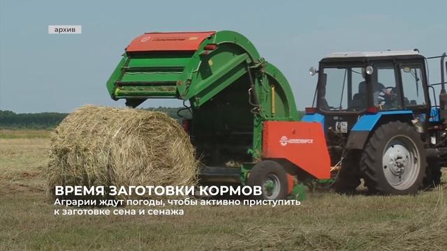 Аграрии ждут ясную погоду, чтобы активно приступить к заготовке сена и сенажа смотреть онлайн