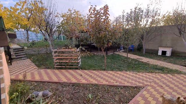 Продажа ровного участка на Сергей Поле , Грушевый Сад. Дорого.