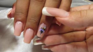 Арочные квадратные ногти, омбре аэрографом, роспись акриловыми красками, букашки на ногтях