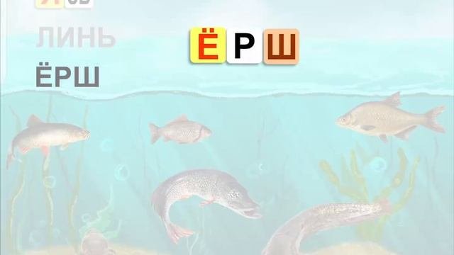 Экраны и игры приложения ЧИТАНИЯ