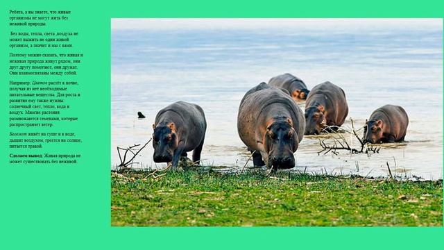 Естествознание 15. Что такое неживая природа?