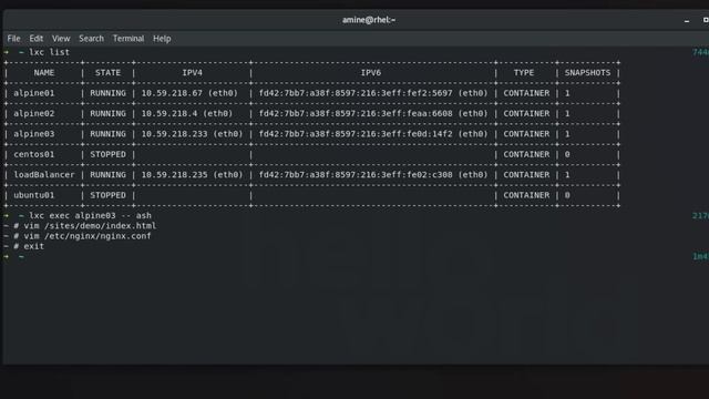 How to setup a simple load balancer using Nginx in Linux