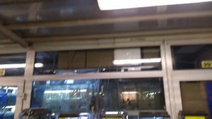 Самые дешевые аквариумы. Птичий рынок Садовод, Москва. Ноябрь 2023 г. Цена.