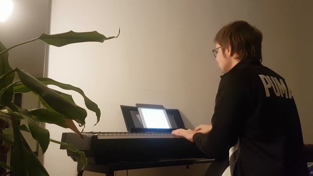 Chopin Mazurka No.49 in F minor, Op.posth.68 No.4 смотреть онлайн