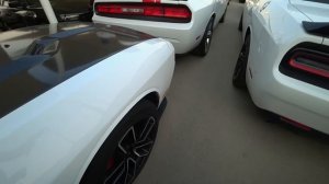 Авторынок в Дубай. Mustang, Camaro, Challenger. #Покупка #Авто #Дубай