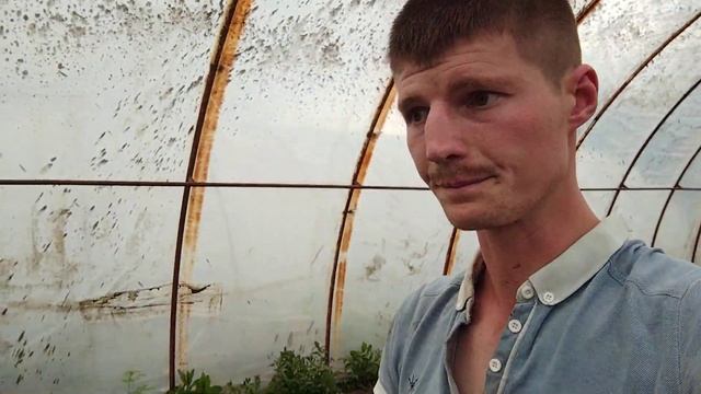 Зачастую из-за этого рассада Перца плохо растет смотреть онлайн