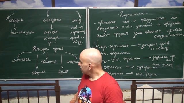 Правовой статус личности. Часть 1 смотреть онлайн