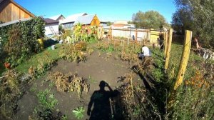 СТРОЮ НАВЕС для ДРОВ  , Рабочие будни .