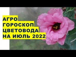 Агрогороскоп цветовода на июль 2022 года