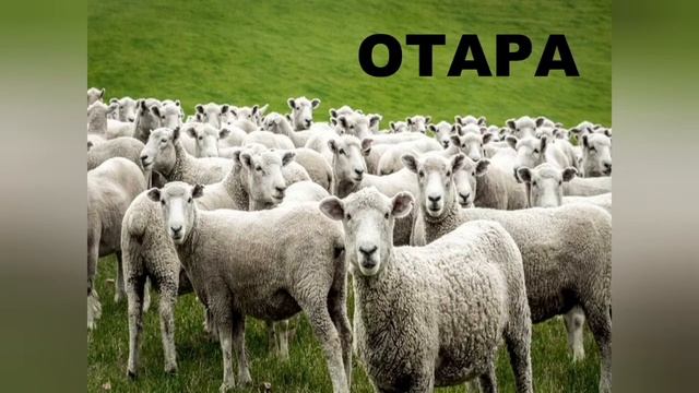 Онлайн занятие по художественной литературе. К Идрисов. "Мой край "Старшая группа смотреть онлайн