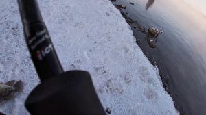 Удомля ! Экстримальная рыбалка в -20 и раздача трофейной теляпии !!