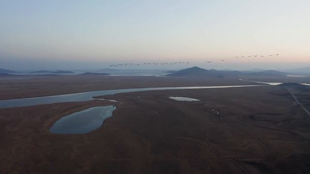 Dan Gibson’s Solitudes - The Wind Beneath My Wings | Somewhere over the Rainbow смотреть онлайн