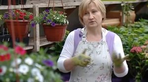 2016 05 10 Зелёная передача