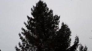 КАЛИНИНГРАД.  ПРОДАЁТСЯ ДОМ. п. Волочаевское. ул.Солнечная.