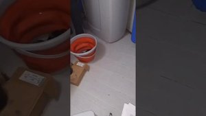 Сервисное обслуживание фильтра для воды кабинетного типа.