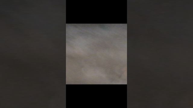 подвал