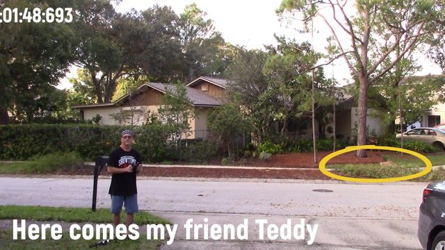 Drone X Pro Another Flight with FAA Authorization смотреть онлайн