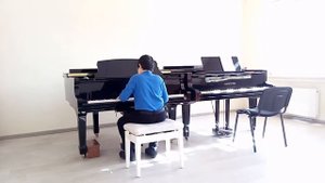 А. Лешгорн. Соч.66,этюд 11.