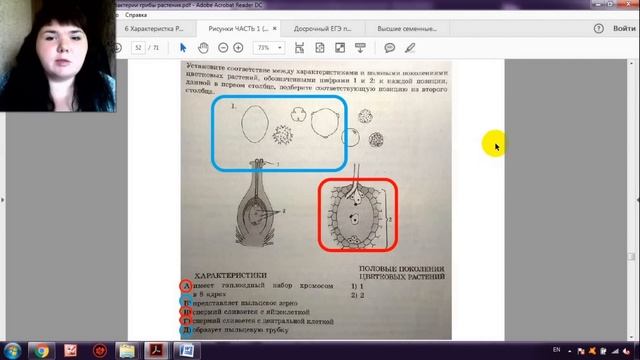 ЖИЗНЕННЫЙ ЦИКЛ ЦВЕТКОВЫХ ЗА 9 МИНУТ (+ разбор заданий из ЕГЭ) смотреть онлайн