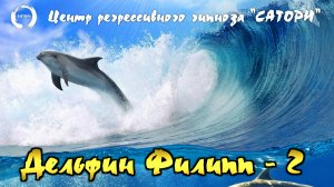 28. Регрессивный гипноз. Общение с дельфином Филиппом - часть 2