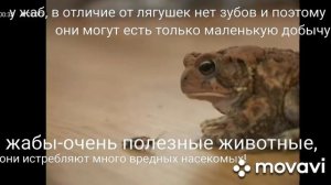 ЖАБА ДУШИТ!!! ШОКИРУЮЩИЕ ФАКТЫ О ЖАБАХ!