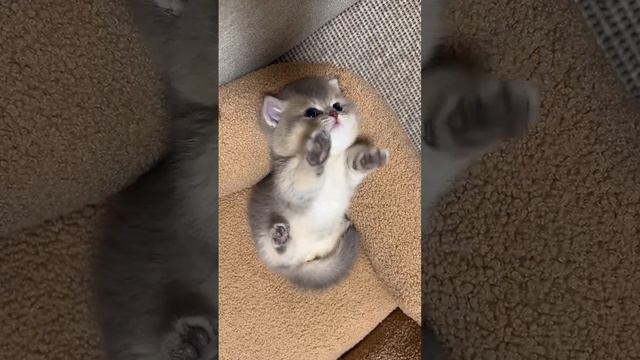 Потягушки смотреть онлайн