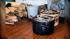 Ночь в лесу - в гостях у отшельника! АГАФЬЯ ЛЫКОВА 2022 ОТШЕЛЬНИК ТИМОФЕЙ | ПОСЛЕДНИЕ НОВОСТИ