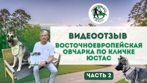 Восточноевропейская овчарка. Часть 2. Видеоотзыв. Боязнь детей и людей. Боязнь улицы.
