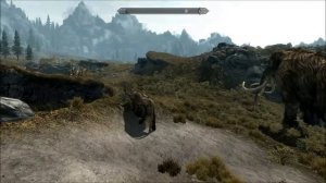 Skyrim - Farmer peace offering fail