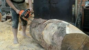 Выпуск № 017. Размер имеет значение! Практика работы бензопилой