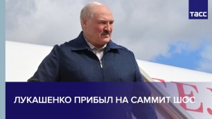 Лукашенко прибыл на саммит ШОС #shorts
