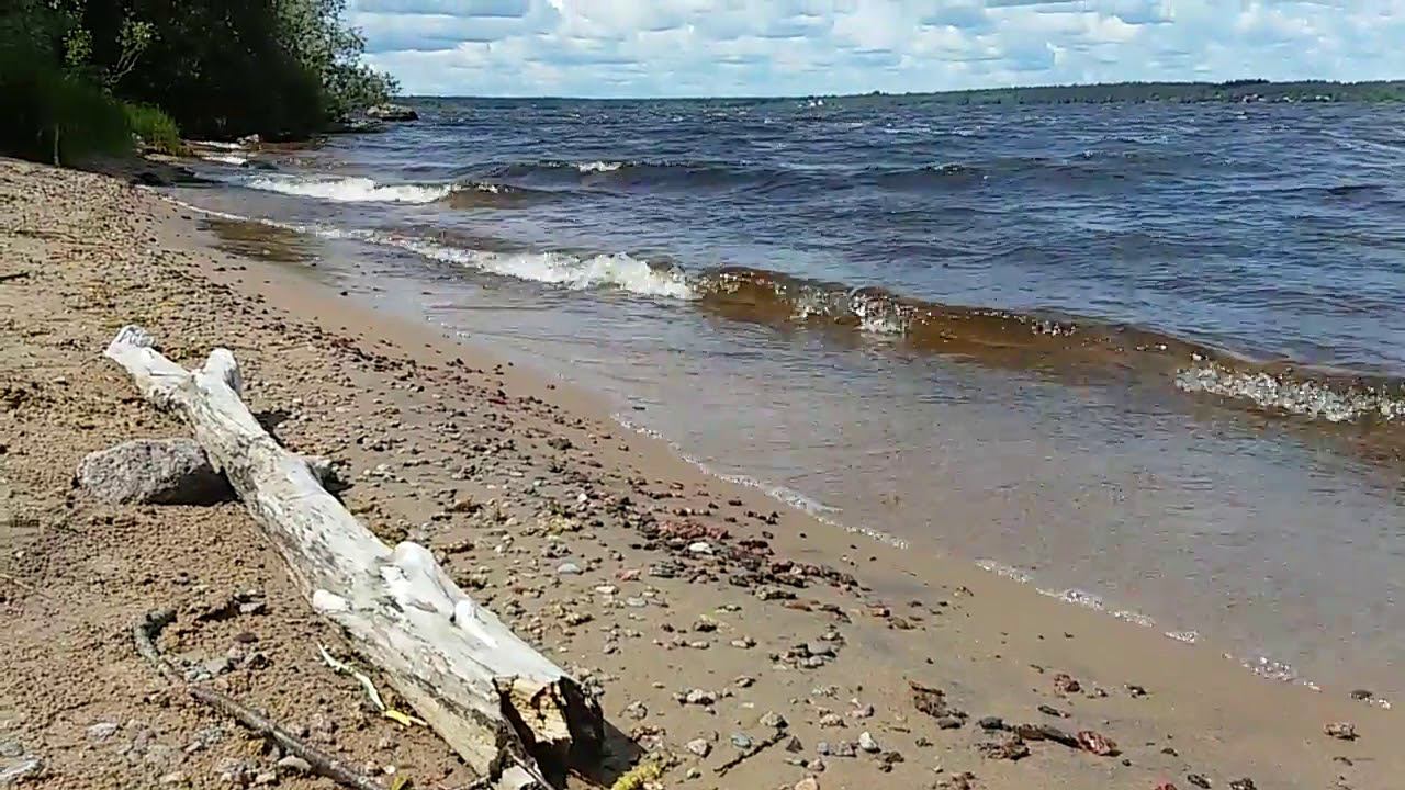 оз. Вселуг 13.06.2016г  На берегу напротив дер Подлядье