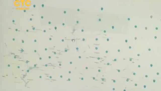 ЕГЭ под камерой смотреть онлайн