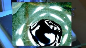 Жидкий Локер